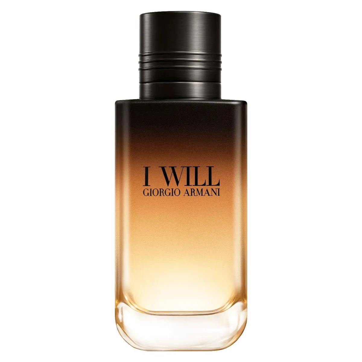 Giorgio Armani I Will Eau de Parfum 100 ml