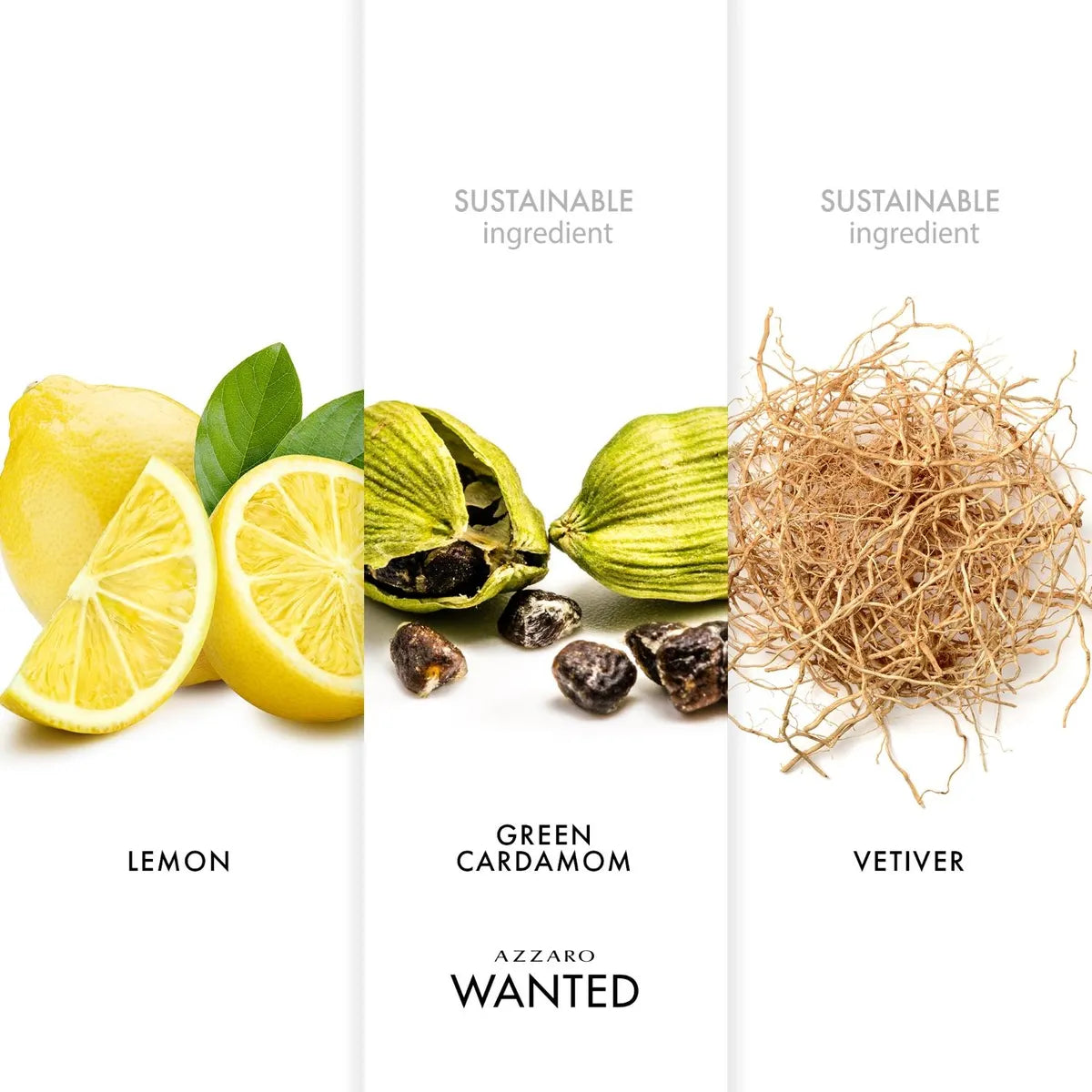 Azzaro Wanted Eau de Toilette