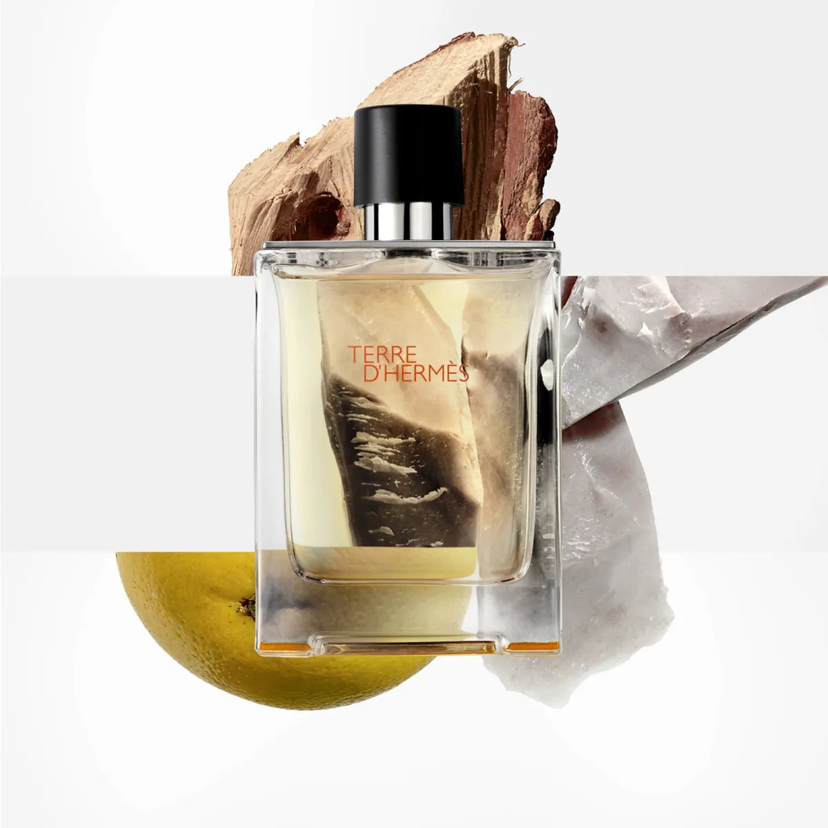 Hermès Terre Eau de Toilette