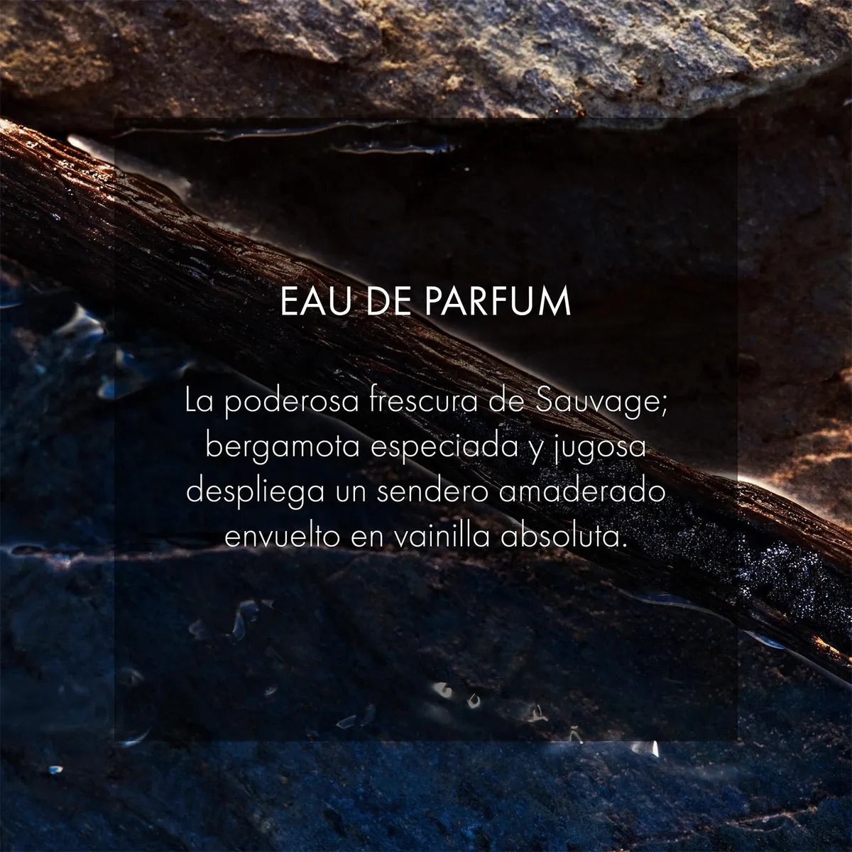 Dior Sauvage Eau de Parfum