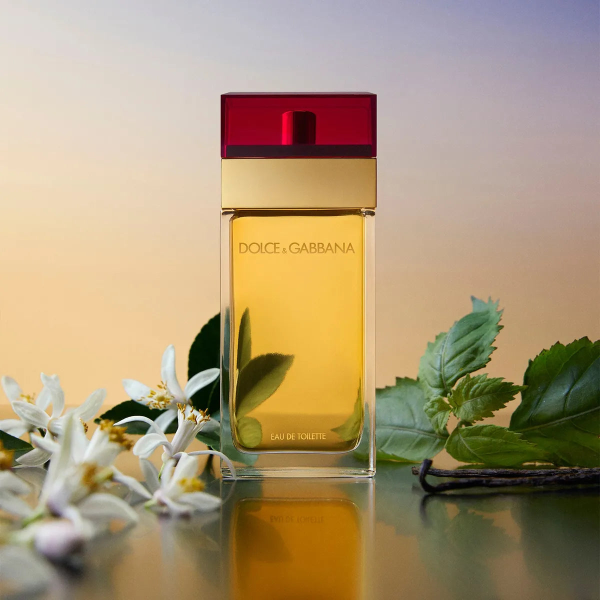 Dolce & Gabbana Femme Red Eau de Toilette
