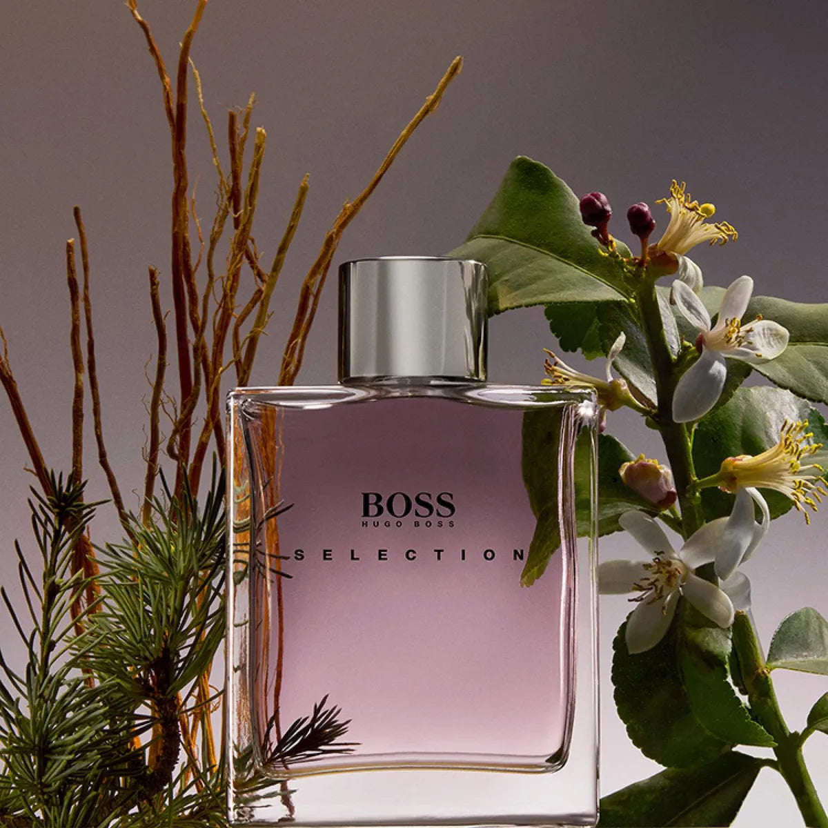 Hugo Boss Selection Eau de Toilette